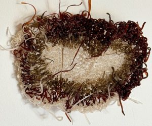 Nest